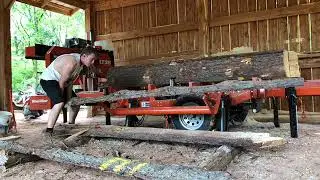 Big Ole Pine Log