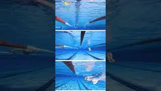 Top Performance Swimming Training Camps with Active Planet Sports Worldwide for professional clubs.