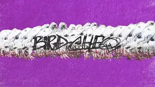 90s Inspired House Mix in Crown Heights | BIRD CHEQ