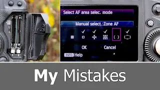 Wildlife Photography Tips - 5 Mistakes I used to Make (And sometimes still do..)