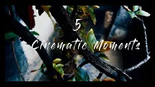 5 Cinematic Travel Video Hacks || Cinematic travel vlog tips || Adobe Premier Pro Luts