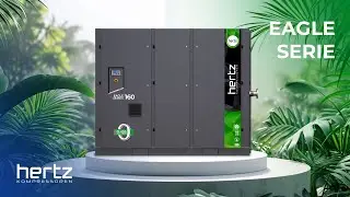 Meet the Eagle Series!