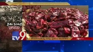 Chilli farmers demand MSP, stage protests at Market Yard - TV9