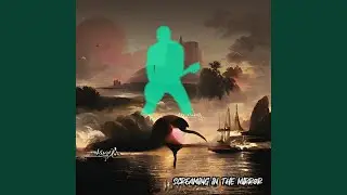 Screaming in the Mirror