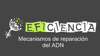 MECANISMOS DE REPARACIÓN DEL ADN. Directa de Bases, Por Escisión, SOS, Por Recombinación
