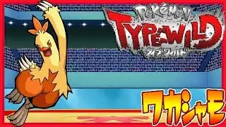 Pok&eacute;mon Type Wild - Combusken (Hard Mode)