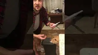 Wife Pulls Pregnancy Prank on Husband 8 Weeks After Childbirth - 1368621