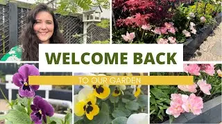 Welcome back to my garden! Spring 2022/What I&rsquo;ve been getting up to over the winter // NOVICE GARDEN