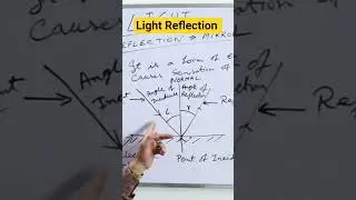 What Happens When Light Reflects?