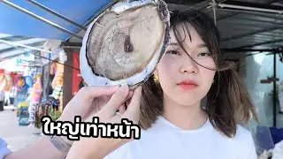 หอยนางรมยักษ์! โคตรใหญ่ หวานฉ่ำ น้ำแตกกระจาย