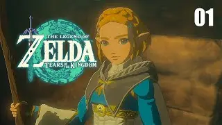 Le début de notre aventure : Zelda Tears of the Kingdom #01