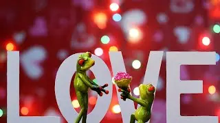happy promise day 2025 | promise day status | promise day whatsapp status | Feb 11 | Promise day