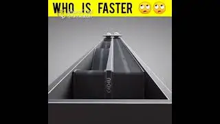 who is faster #shorts #facttachz #top_facts #ytshorts