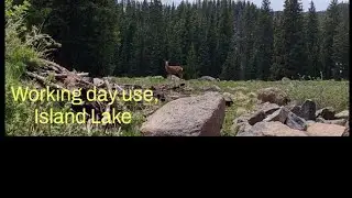Island Lake day use area. Working finally