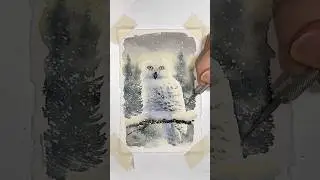 Snowy Owl Watercolor Painting Demo #watercolor #painting #art #winterbirds #paintingprocess