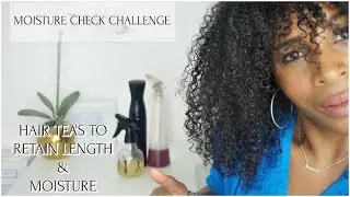 Never Have Dry Hair Again After This MOISTURE CHECK CHALLENGE | Month 5 Challenge | Mel’s World