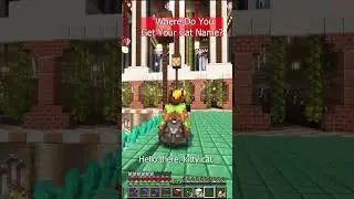 What's Your Cat Name In Minecraft #minecraft #shorts