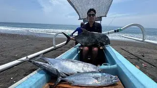 BLACK GT 27 KG LANDED MANCING DI PESINGGAHAN KLUNGKUNG BALI