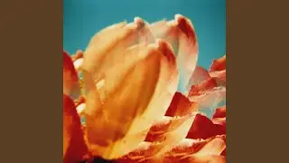 In Fractal: IV (Remastered)