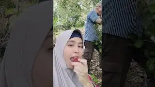 kak siwa pergi kekebun metik rambutan #fyppppppppppp