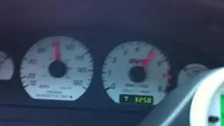 quick blast in a pullied cobra