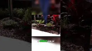 Top Tropical Ground Covers for a Beautiful Garden