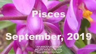 FREEDOM FROM OBSESSION! PISCES September 2019 Tarot Reading