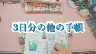 irregular day　３日分のhibino以外の手帳