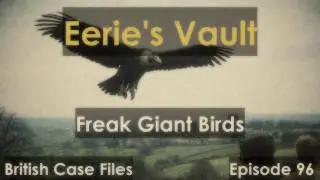 Freak Giant Bird Sightings in the UK: Britain&rsquo;s Forgotten Thunderbirds