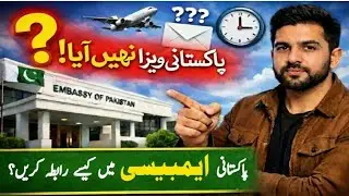 How to contact Pakistan Embassy for quick visa processing I Pending Visa applicarion Solution 