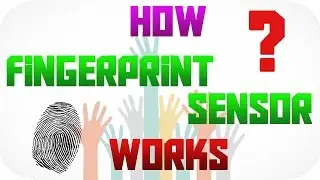 how fingerprint sensor works?