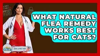 What Natural Flea Remedy Works Best For Cats? - Ask A Pet Vet