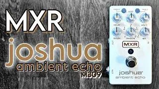 MXR M309 Joshua Ambient Echo - taking delay to The Edge!