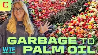 Palm Oil is Finished: New Alternative Made from Food Waste | What The Future