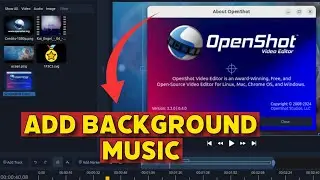 How to Add Background Music in Openshot 2025?