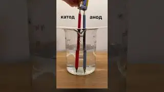 Электролиз | Какой газ выделится на аноде? Пиши в комментариях!