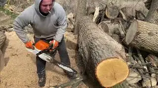 Chainsaw Brutality: Wood Splits Under Pure Power