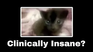 Dinky Dinky Cat | Endings Part 1