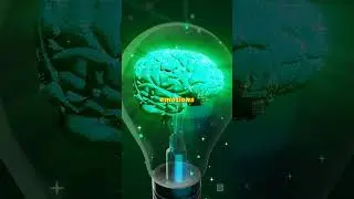 Here are 3 ways your thoughts create your reality!