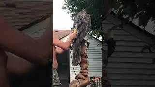 Eagle carving