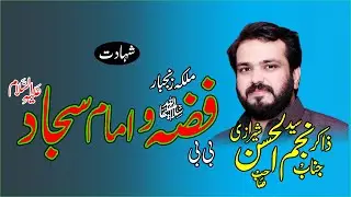 zakir syed najam ul hassan sherazi I shahadat Bibi Fizza s a+Imam Sajjad a s I 25 murm 2024 shadiwal