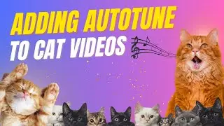 Cute Cats with AUTOTUNE (Full Video)😻
