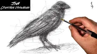 Sketch Drawing a Crow with a BIC Pen | Scribble Technique / Real Time