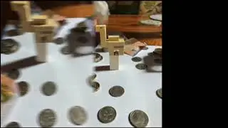 Camel in Moneyland by Rory Daniels