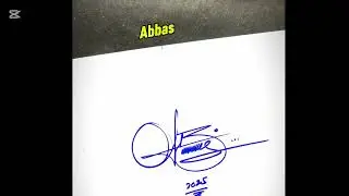 Signature idea's || professional sign logo || autograph 