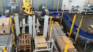 Robot Palletizer - Boxes from Two Lines