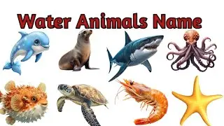  Water Animals Name Water Animals Name in English and Hindi | जल में रहने वाले जानवरों के नाम | 