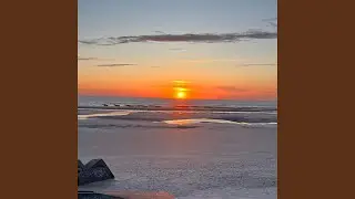 Northern sun