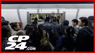No service on Line 2 between Jane and Kipling for track maintenance
