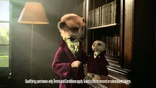 To Collect Aleksandr Meerkat Toy Reward buy through comparethemarket.com